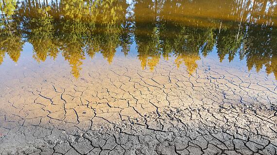Dürre Bodenrisse vor einem ruhigen Gewässer, das von umliegenden Bäumen reflektiert wird. Die Uferlinie zeigt eine klare Trennung zwischen dem trockenen Land und dem stillen Wasser.